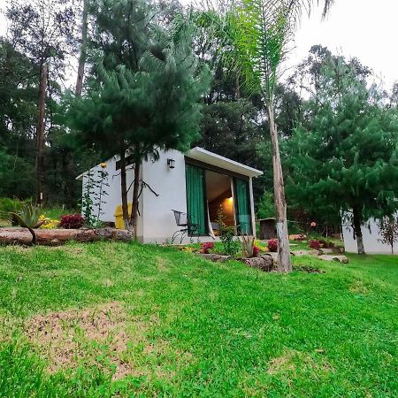 Romanticas Cabanas En Bosque Acaxochitlán Zewnętrze zdjęcie