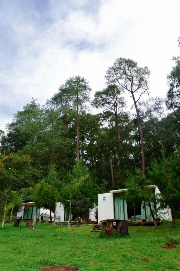Romanticas Cabanas En Bosque Acaxochitlán Zewnętrze zdjęcie