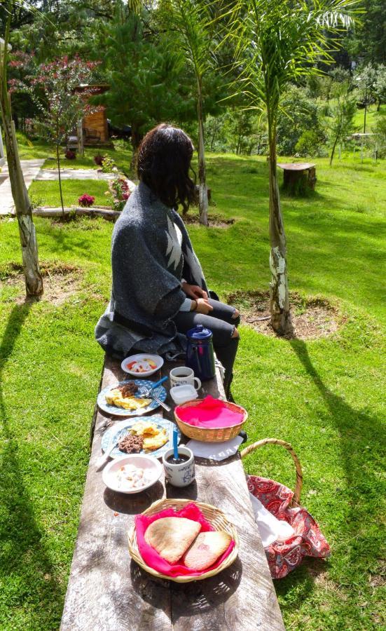 Romanticas Cabanas En Bosque Acaxochitlán Zewnętrze zdjęcie