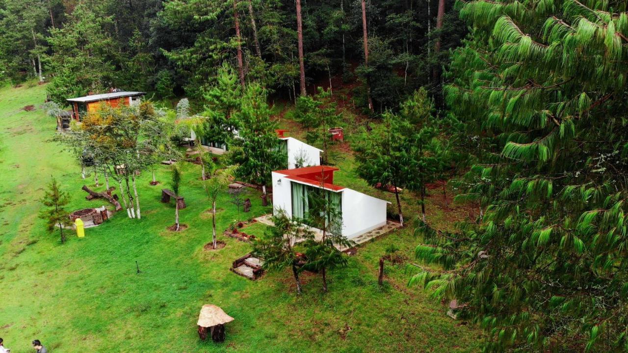 Romanticas Cabanas En Bosque Acaxochitlán Zewnętrze zdjęcie